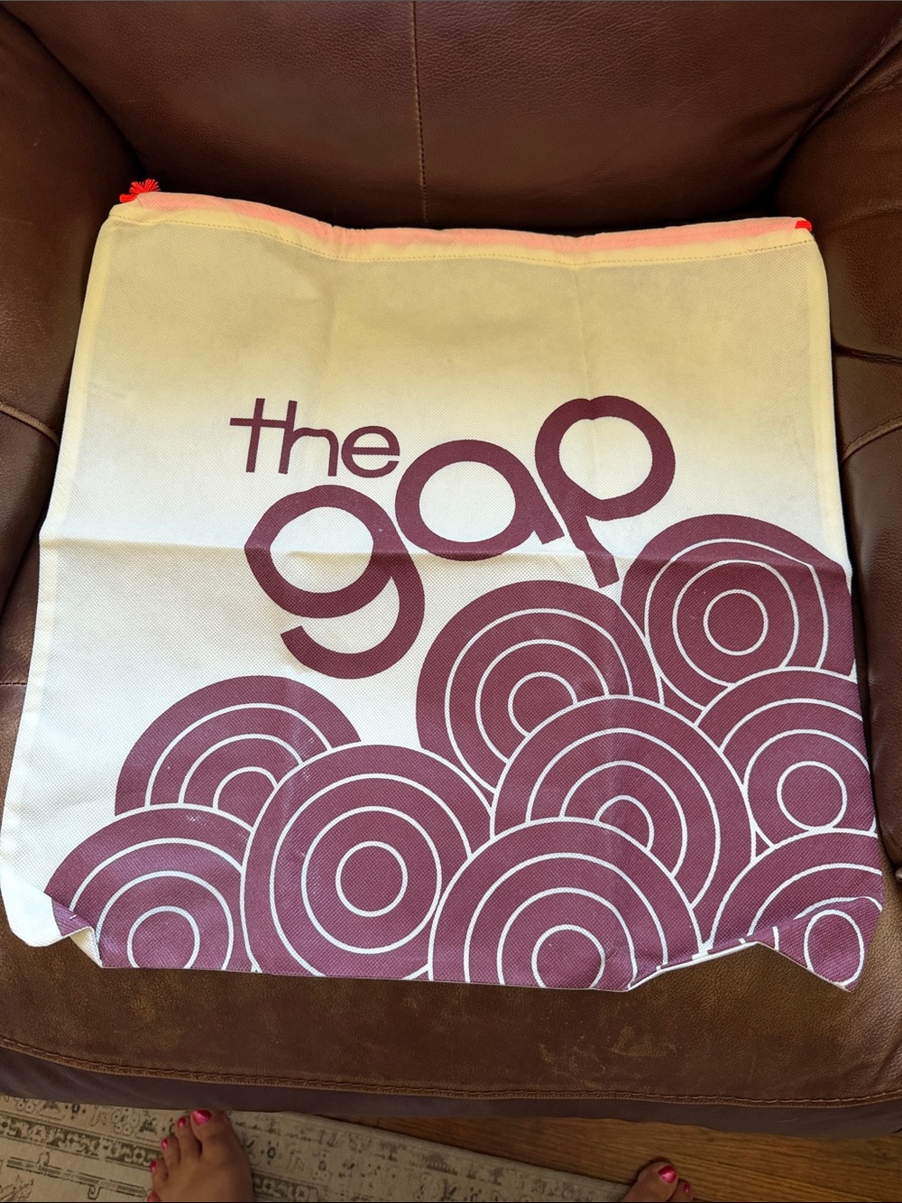 the gap dust bag